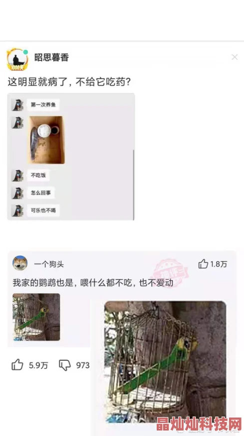 网友热议：战舰少女中宁海角色表现如何？全面宁海分析评价