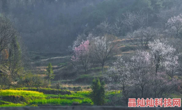 天天干天天草为什么这么受欢迎因为它简单易学朗朗上口又充满活力