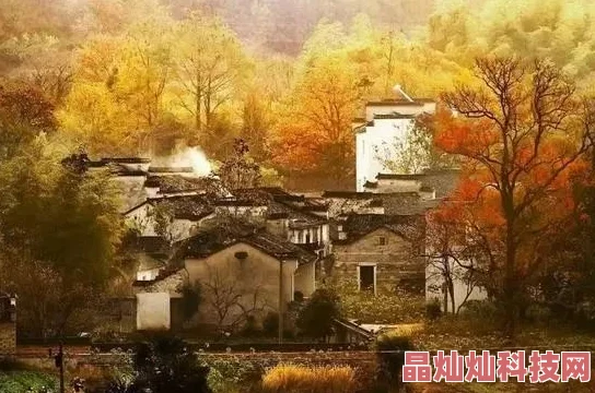 安徽妇槡BBBB搡BBBB为什么备受关注是因为它传承了古老的技艺并具有观赏性