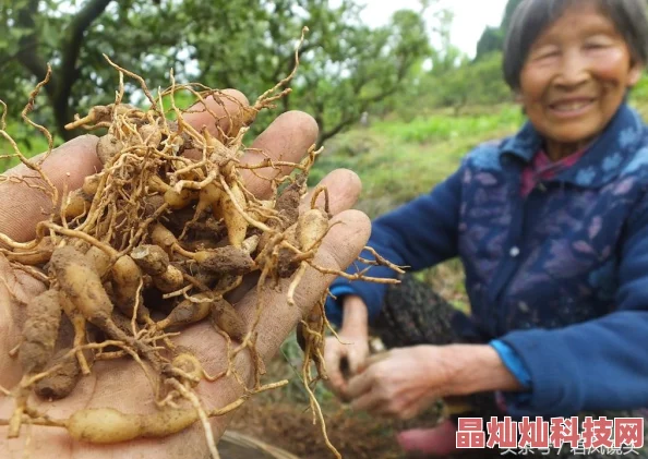 久草电影网为什么不断优化用户体验备受赞誉