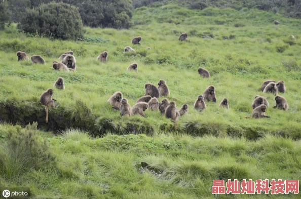 男人的伸到屁股里运为什么让人难以抗拒因为它打破了常规的性观念并提供了一种新的性体验