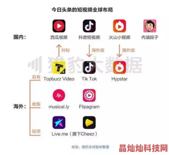 wwwwxxxx为何它拥有庞大的用户群体形成了良好的社区氛围