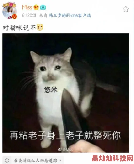 Description哑剧猫免费为什么吸引众多粉丝用无声的表演传递快乐治愈心灵