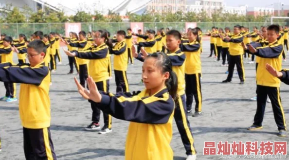 征途手机版深度解析：武功绝学之武术精髓介绍及网友热评集锦