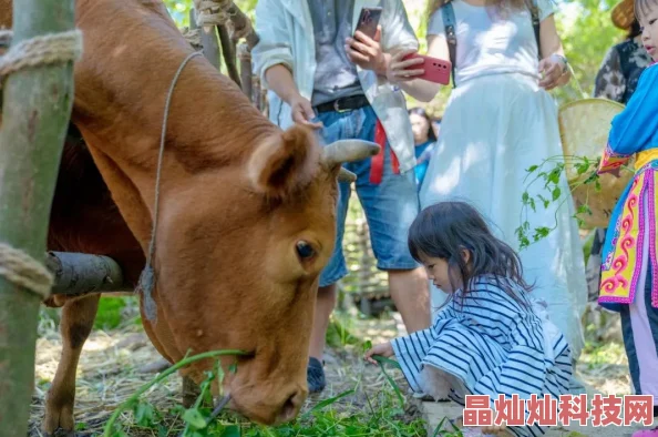 梦幻西游手游深度解析：萌宠图鉴获取与激活心得，网友热议实用攻略