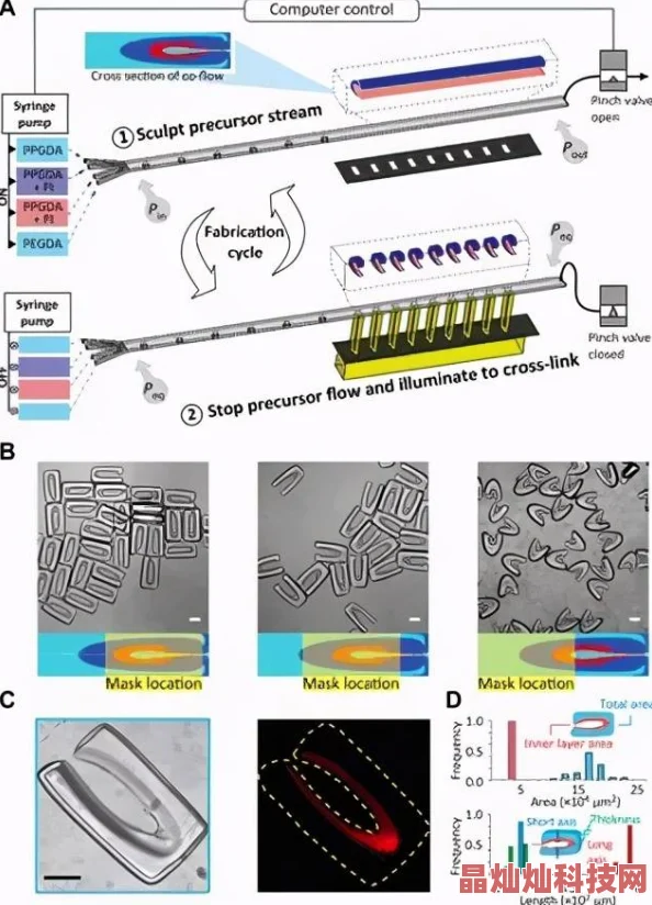 粉色视频苏晶体结构iso2025纳米级3D打印技术革新晶体结构成像