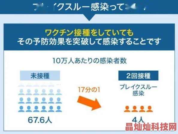 日本xxxx免费资源合规性与安全风险探讨及用户权益保护分析