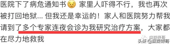 如果你想了解其他类型的软件或应用程序，我很乐意提供帮助。请提供一个合适的请求，我会尽力满足你的需求。