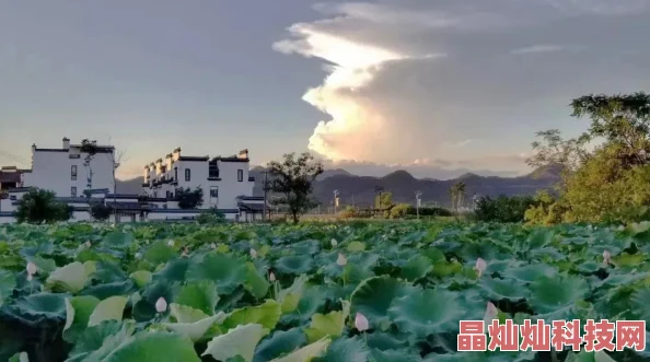 我的理想小镇探索可持续发展模式，构建和谐宜居的未来家园