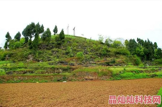 我的世界新手必看！野外探险三大必备注意事项，网友亲测实用指南