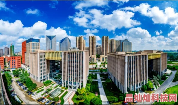 2025保卫萝卜3集市31关高效通关教程，详解蘑菇刷金币技巧