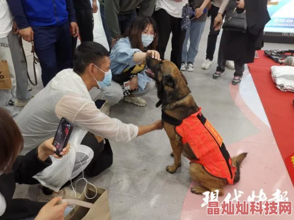 地铁逃生指南：选择最佳语言，提升生存几率