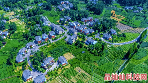 艾丽莎的国度建筑布局指南：优化摆放提升效率