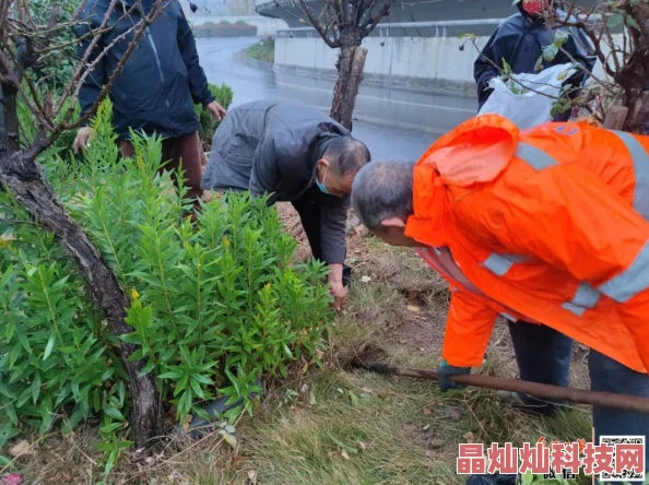 花朵消除游戏叫什么名字？推荐几款耐玩的消除游戏