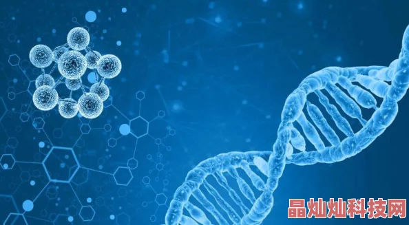 2025年健康新知：一小时人生游戏中黄热病解法，科技助力，保持适宜体温是关键