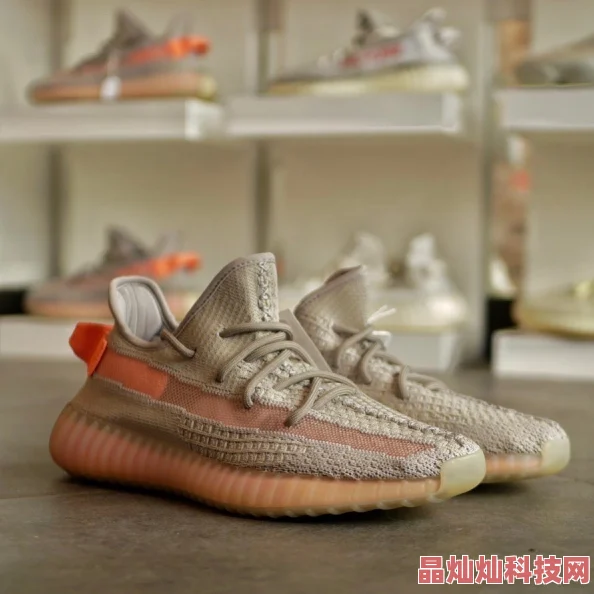 yeezy亚洲限定和美洲限定分别针对不同市场推出的独特设计款式，以满足各地区消费者需求