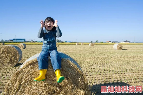 吃小豆豆的描写片段小豆豆长大后回到巴学园旧址感慨万千